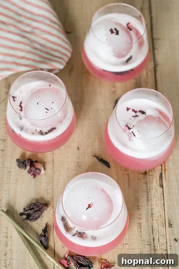 Blush & Sip 13 Hibiscus gin sour pink cocktail.
