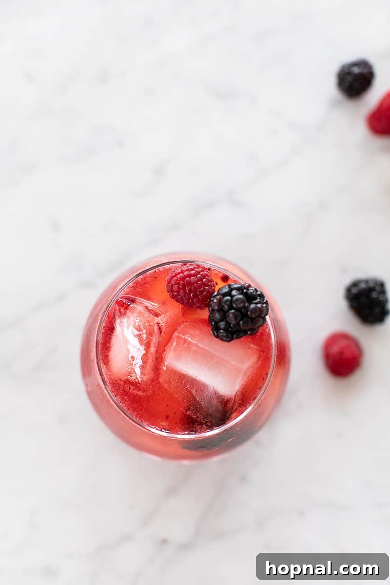 Blush & Sip 17 Wild berry gin cocktail with berries.