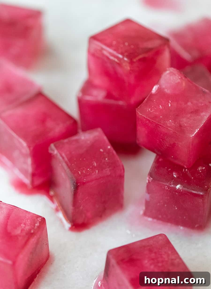 Blush & Sip 24 Naturally Dyed Pink Ice Cubes using dried Hibiscus Flowers