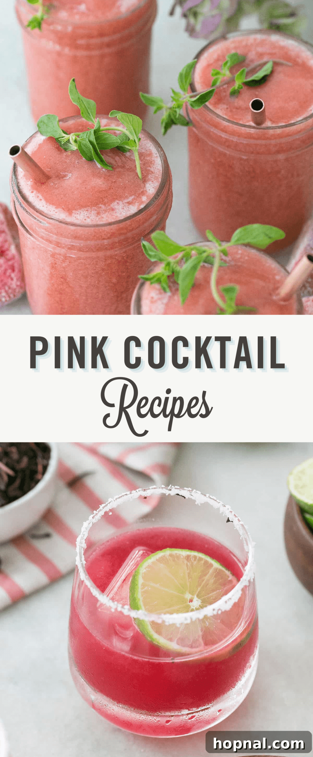 Blush & Sip 27 Pink cocktail recipes.