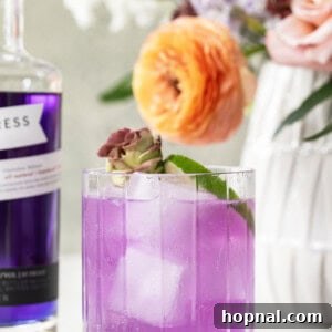 A close-up of a refreshing purple cocktail made with Empress Gin, garnished beautifully.