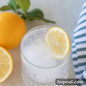 lemon juice and tonic water