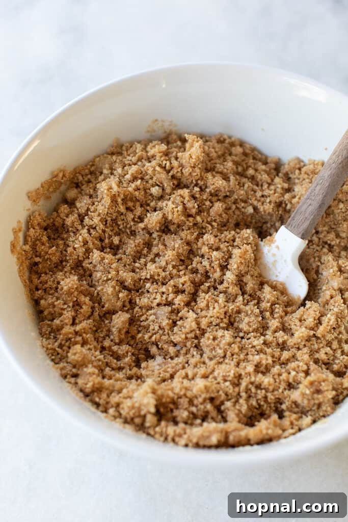 A close-up shot of the graham cracker mixture being thoroughly mixed in a bowl with a spatula, ensuring all ingredients are well incorporated.
