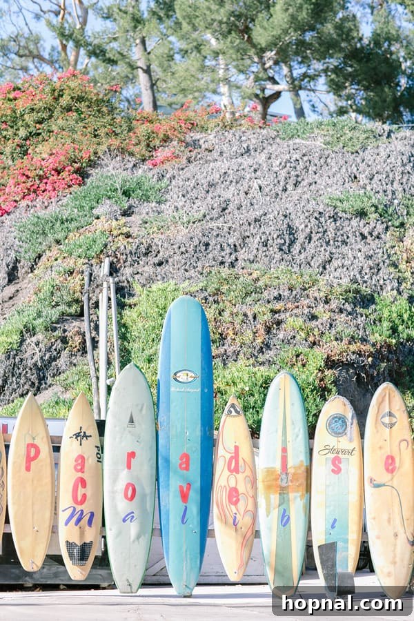 Surf board at Paradise Cove