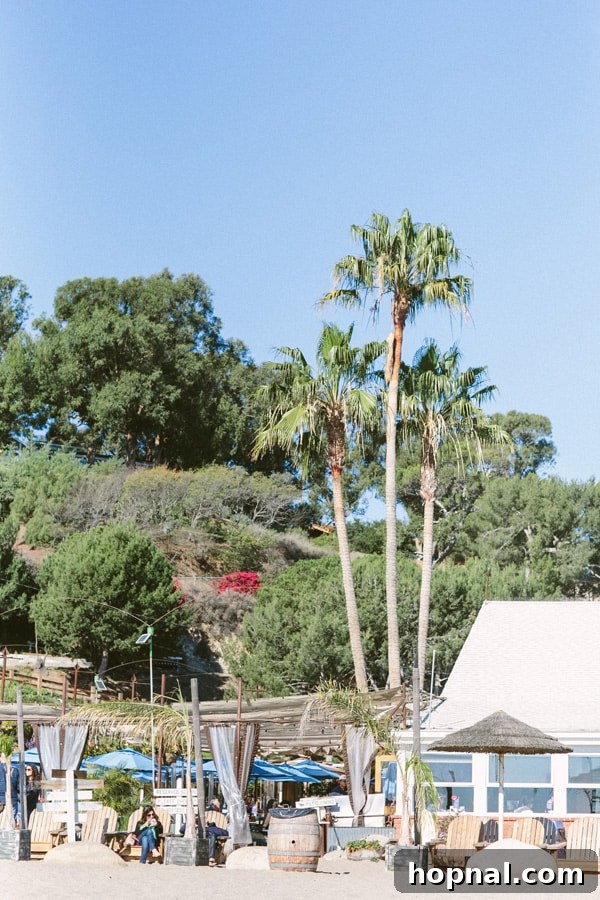 Paradise Cove Beach in Malibu 