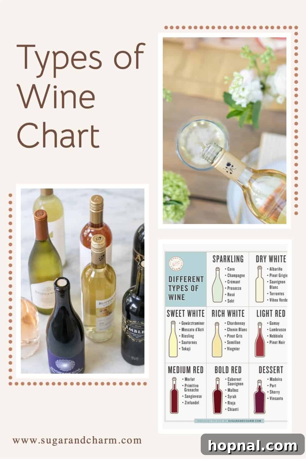 types of wine chart graphic 