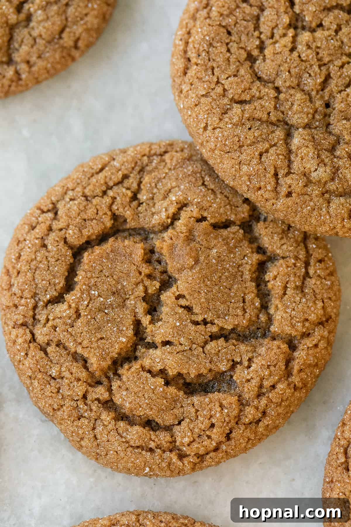 Classic gingersnap cookie