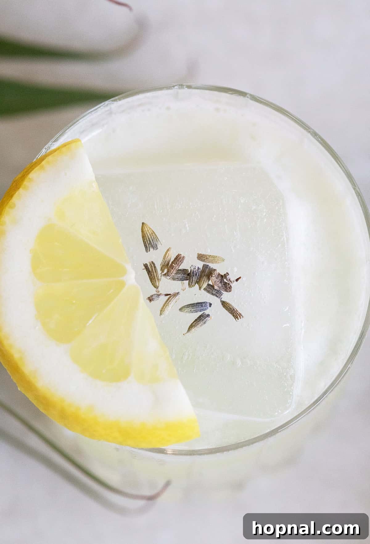 An easy Vodka Sour, beautifully garnished with a lemon wedge and a delicate dash of dried lavender, highlighting its refreshing appeal.
