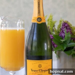 Ingredients for a mimosa laid out on a table