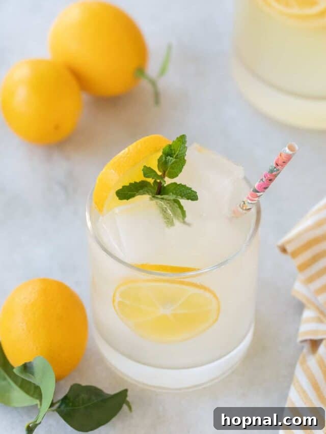 Classic spiked lemonade, a refreshing vodka cocktail