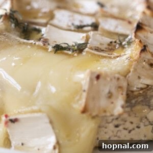 Gooey baked brie cheese, perfectly melted and ready to serve.