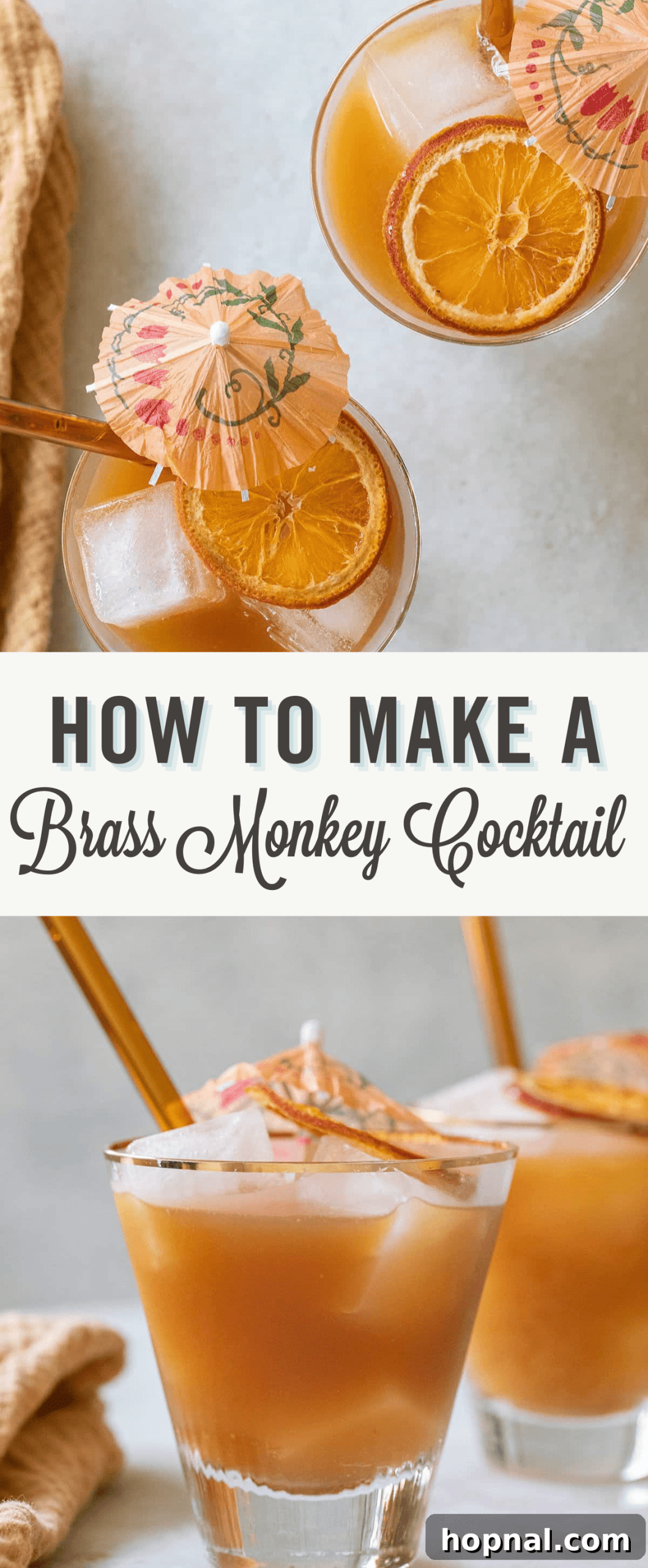 A Brass Monkey cocktail recipe card with vibrant graphics, showcasing the ingredients and final drink.