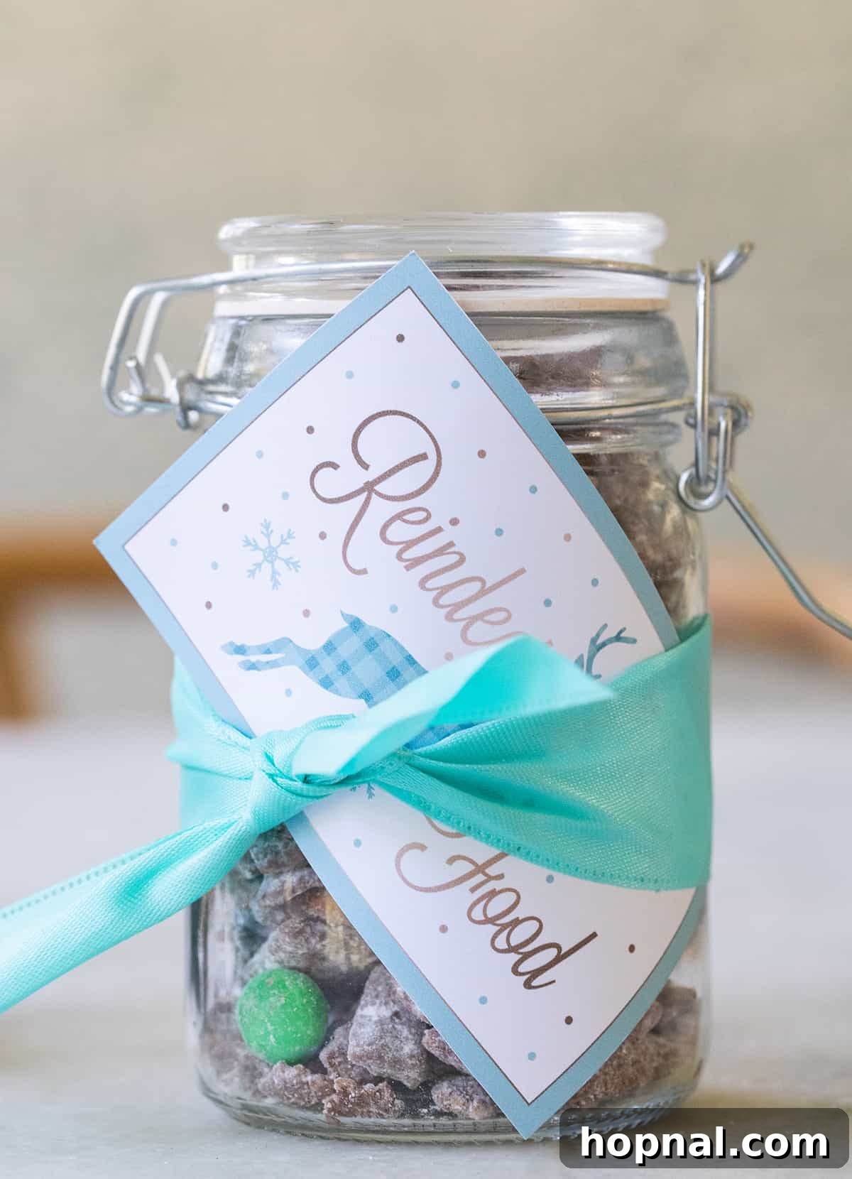 Magic Reindeer Dust 8 A glass mason jar filled with colorful Christmas Reindeer Food, adorned with a festive ribbon and a printable tag, ready to be given as a charming holiday gift.