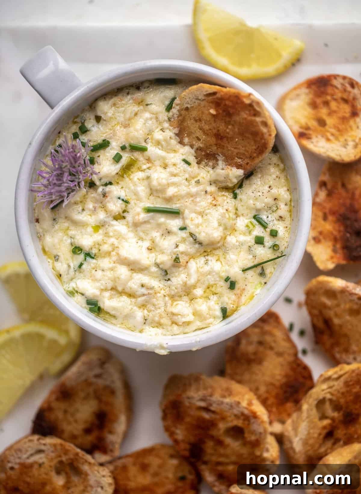 60 Quick and Easy Party Appetizer Recipes 15 hot crab dip