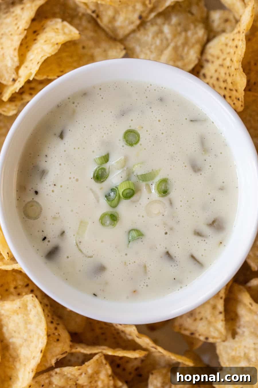 60 Quick and Easy Party Appetizer Recipes 3 easy queso dip