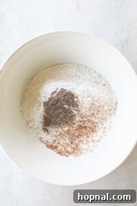 Dry ingredients in a medium mixing bowl.