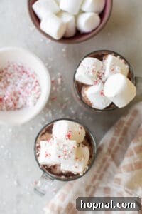 Peppermint hot chocolate with marshmallows and candy canes.