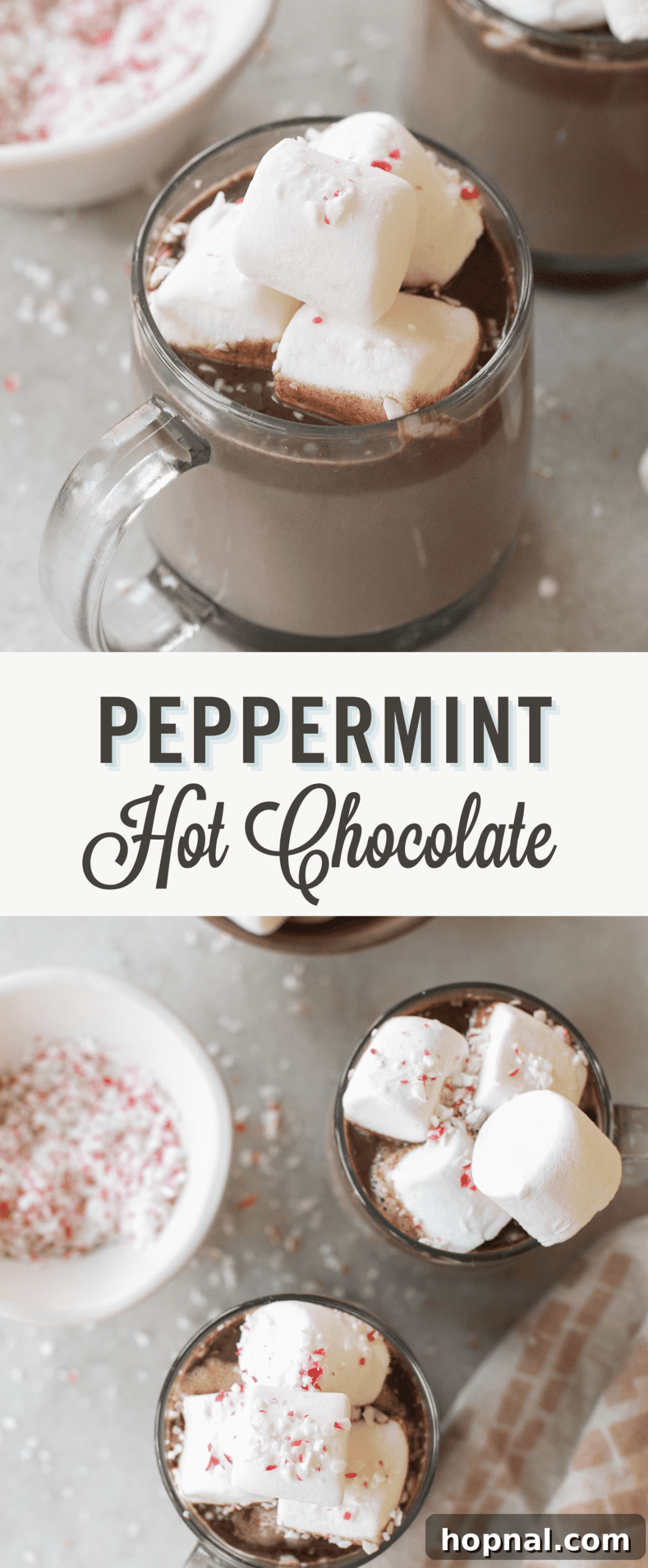 Peppermint hot chocolate pin.