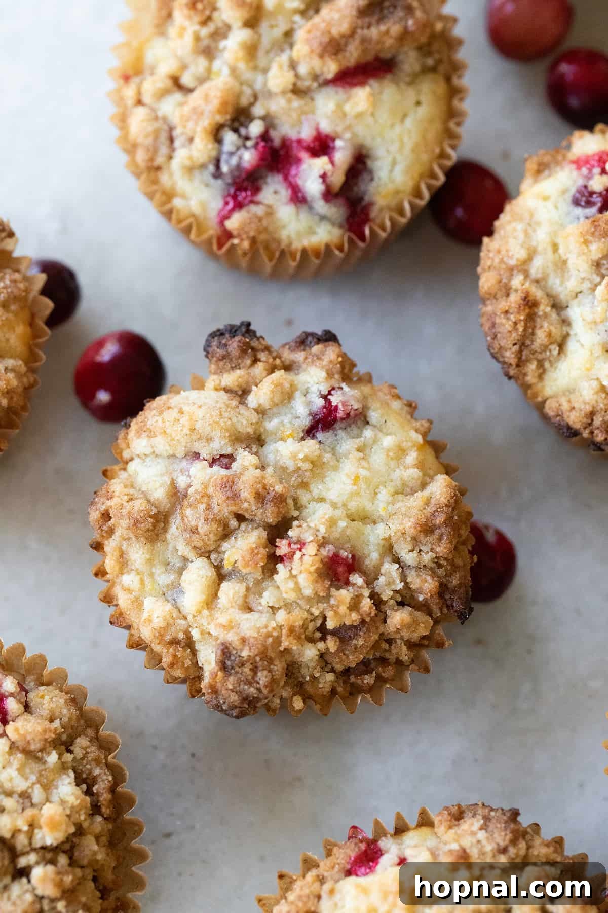 A perfectly baked, moist muffin revealing its tender crumb, generously topped with a rich brown sugar streusel and studded with vibrant cranberries.