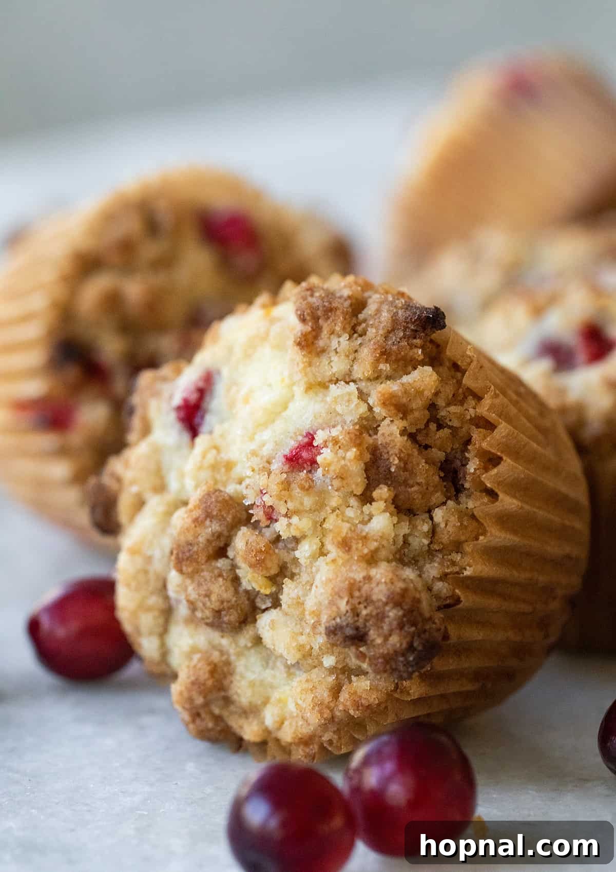 A solitary cranberry orange muffin resting on its side, revealing its inviting texture and the rich streusel topping, a perfect representation of homemade comfort.