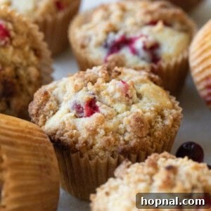 Beautifully baked cranberry orange muffins with streusel topping.