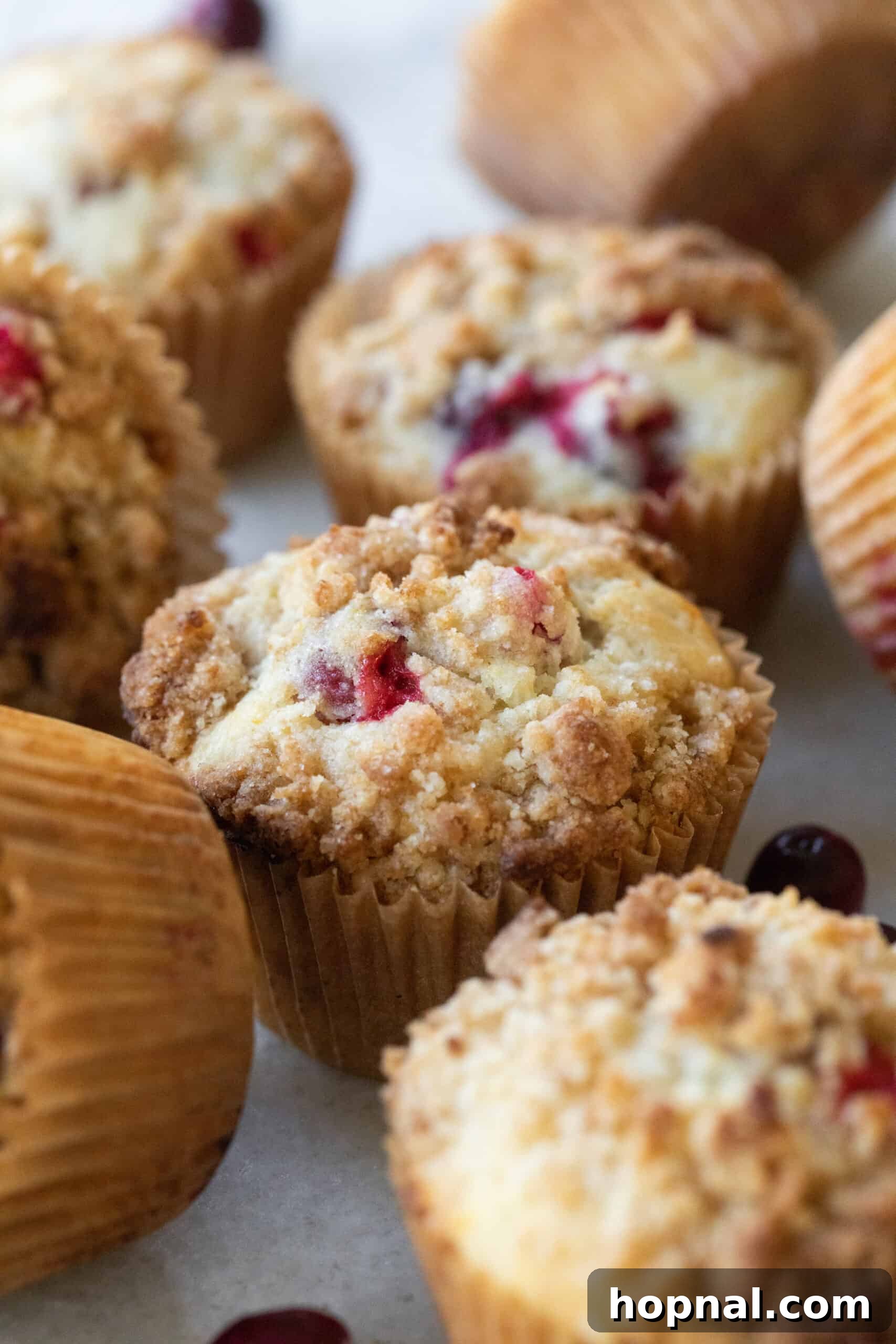 A close-up of freshly baked orange cranberry muffins, nestled in muffin papers, with scattered fresh cranberries for garnish.
