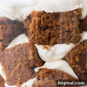 Fluffy gingerbread cake layered with whipped cream, the ultimate holiday trifle dessert.