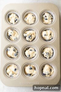 Golden Banana Blueberry Treats 14 Blueberry banana muffin batter in cupcake tin liners, ready for streusel and baking.