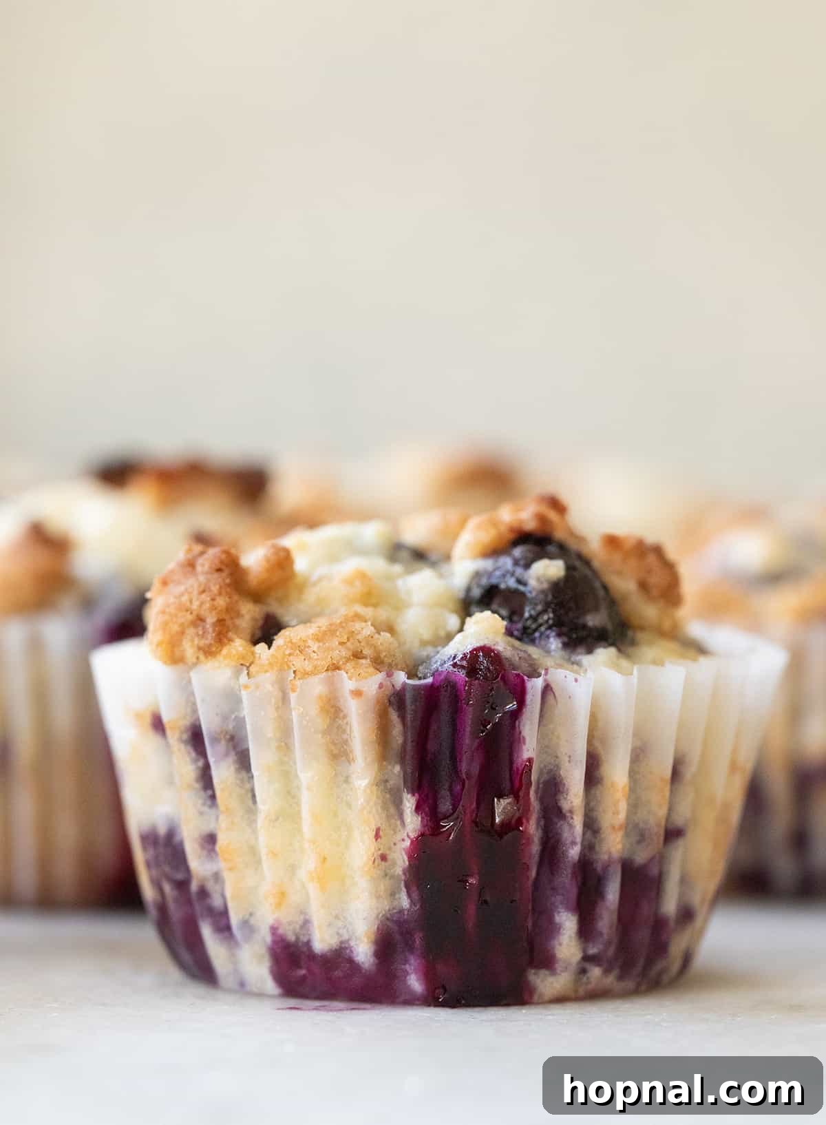 Golden Banana Blueberry Treats 3 A perfectly baked banana blueberry muffin with juicy blueberries peeking through the golden crust.