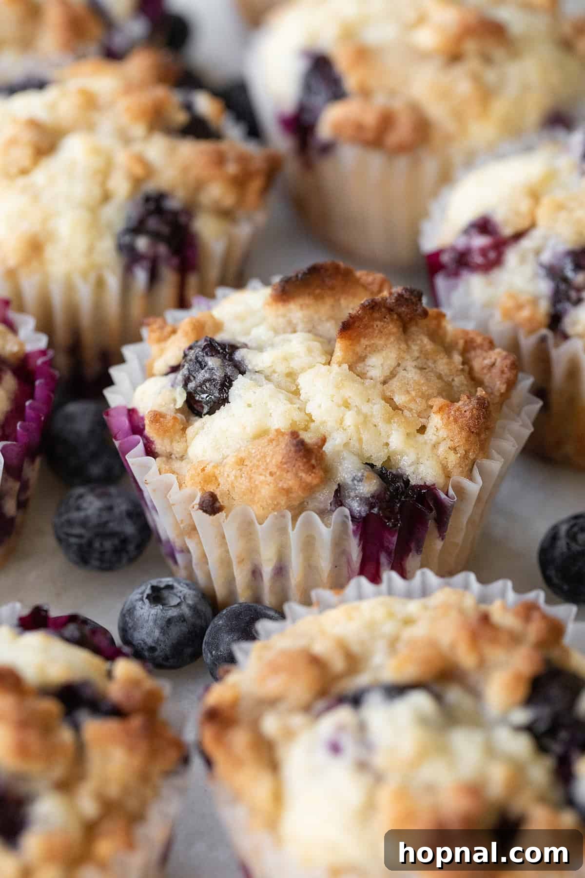 Golden Banana Blueberry Treats 6 A tray of healthy blueberry banana muffins, golden brown and perfectly risen, cooling on a wire rack.