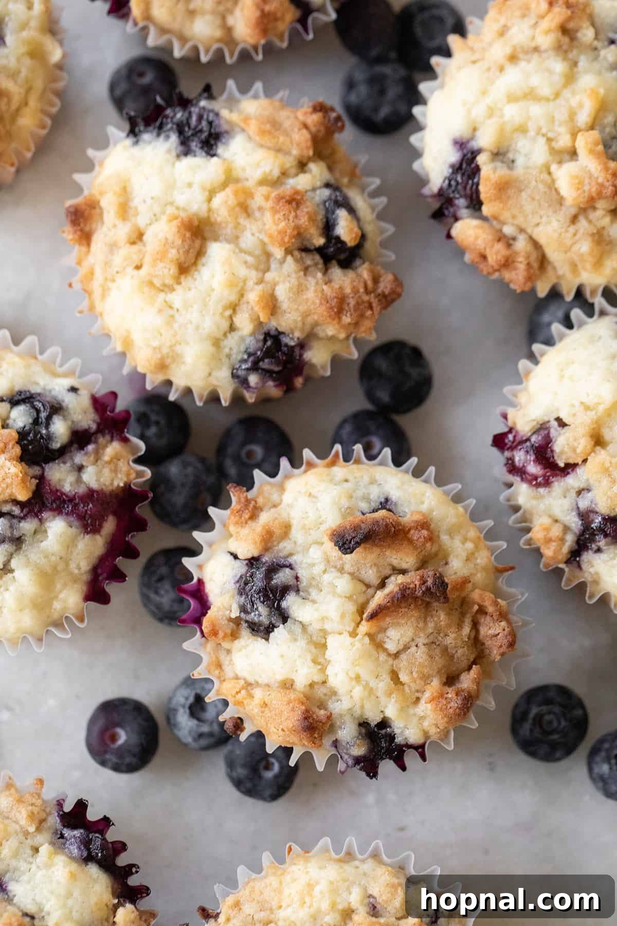 Golden Banana Blueberry Treats 8 A tray of warm, golden muffins generously studded with fresh blueberries, glistening after baking.
