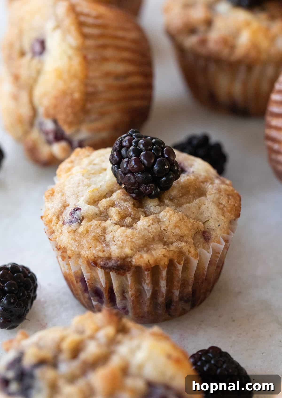 Blackberry muffins with fresh blackberries.