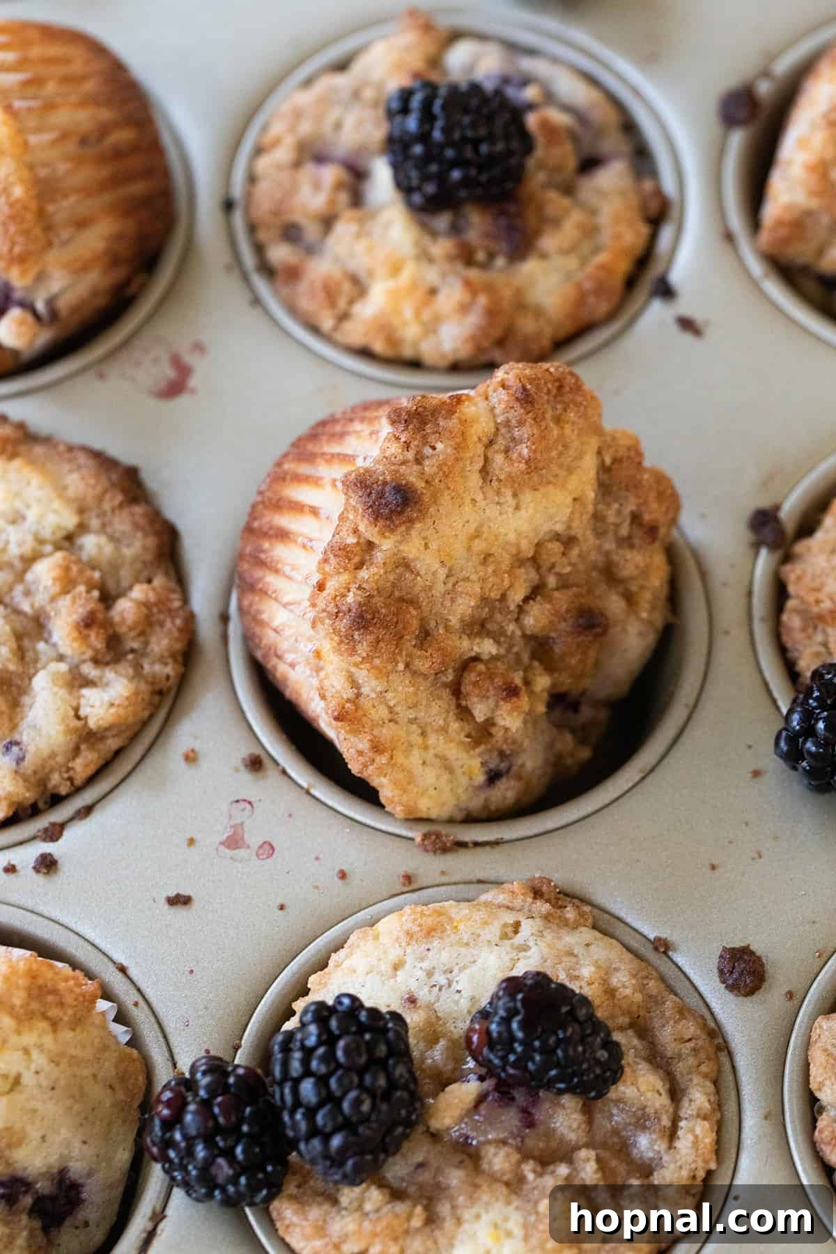 Freshly baked blackberry muffins with golden streusel topping on a muffin tin.