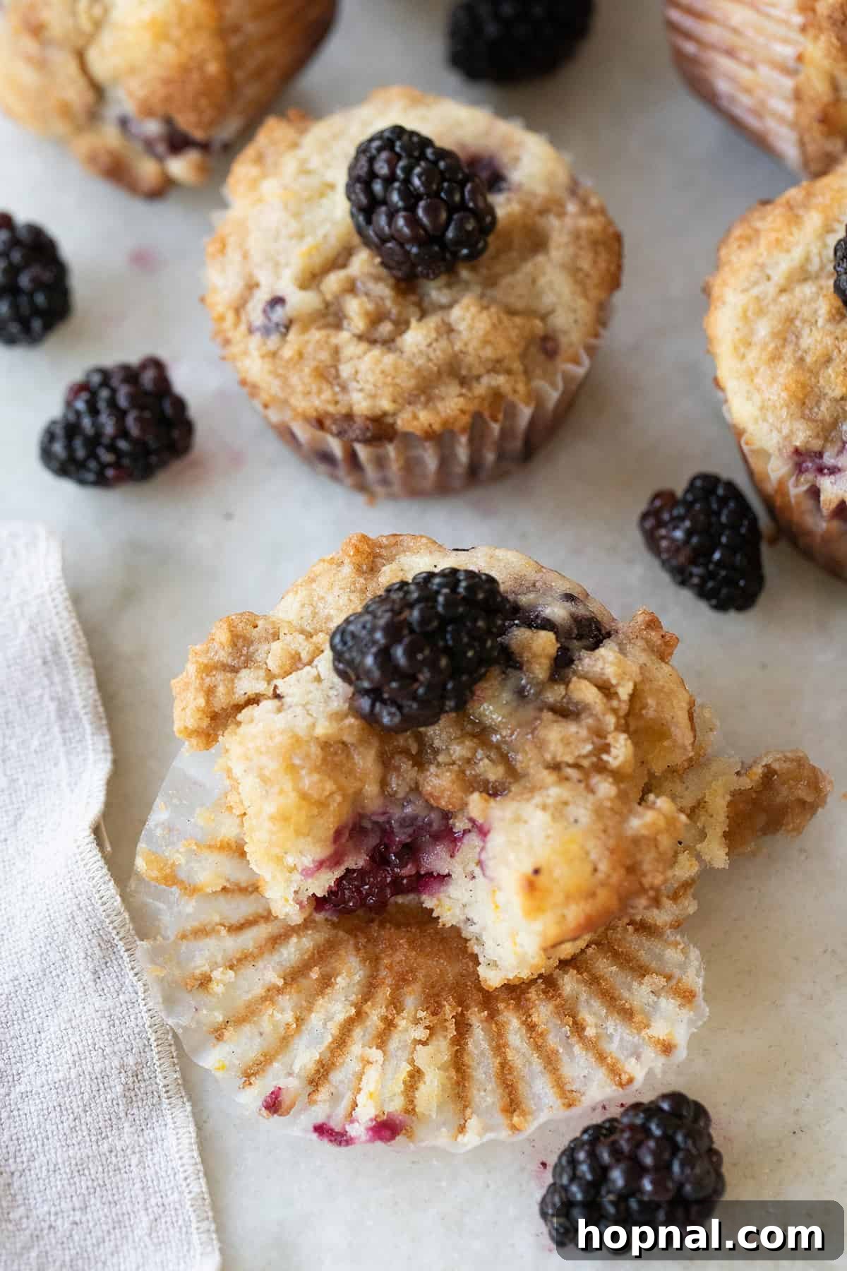 A moist blackberry muffin topped with buttery streusel over the top. 