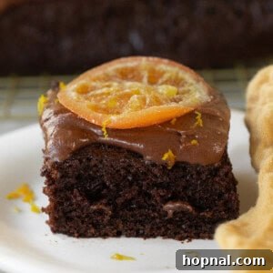 A fluffy chocolate orange cake slice with a candied orange on the top.