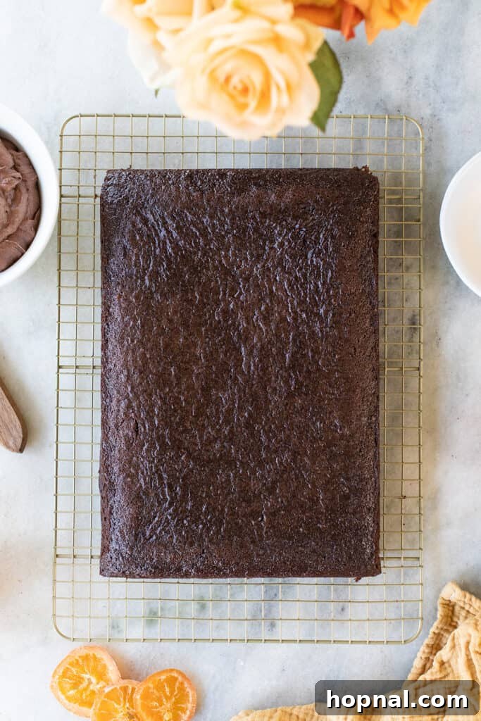 A freshly baked, unfrosted chocolate orange cake, golden brown and perfectly risen.