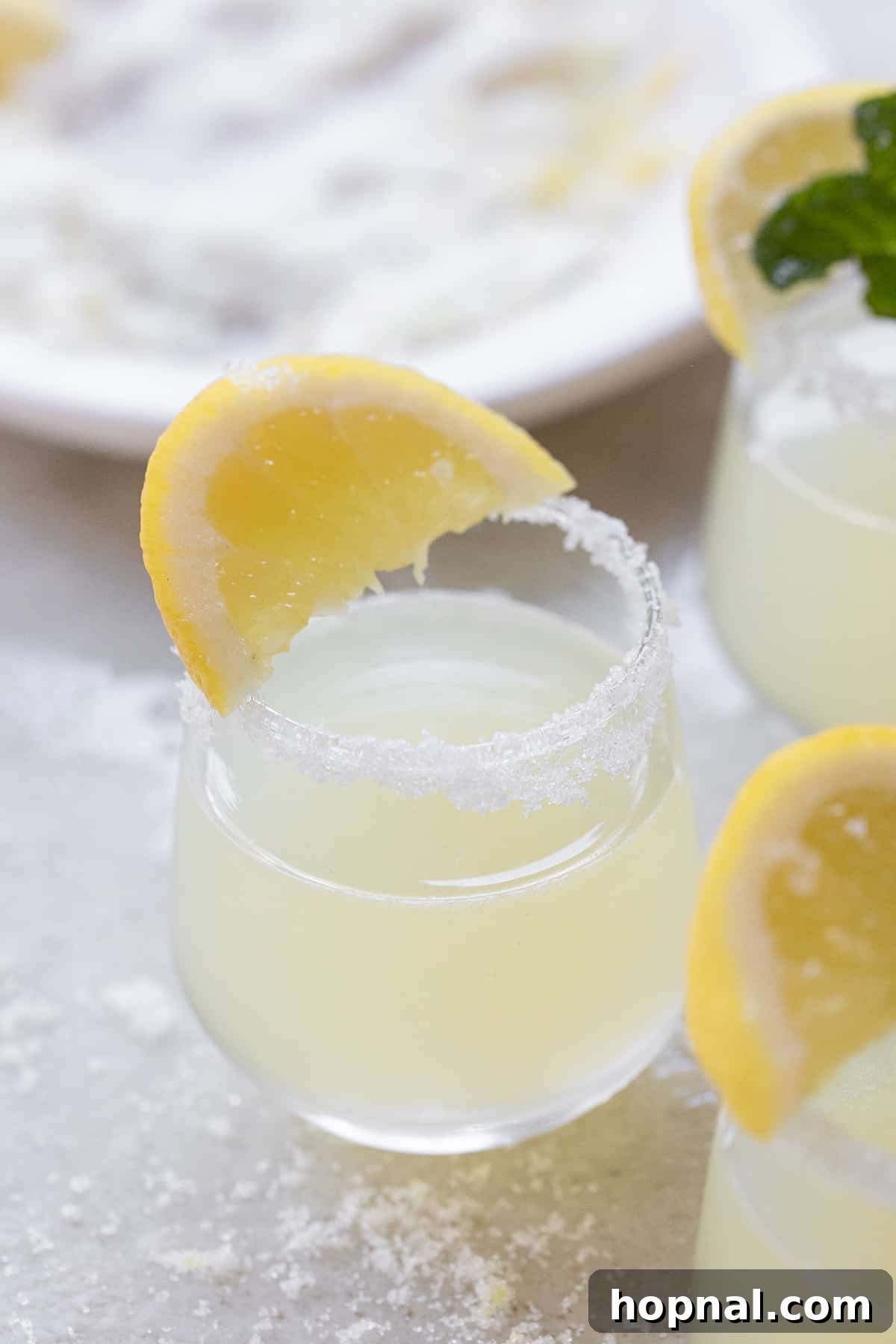A single lemon drop shot elegantly garnished with a thin lemon slice, glistening with sugar on the rim and sitting on a textured surface.