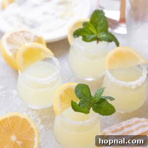Lemon drop shot with fresh mint leaves and a sugar-coated rim, beautifully presented on a light background.