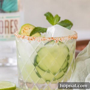 Cucumber margarita with cucumber slices and fresh mint.