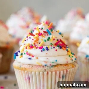 Confetti cupcake with sprinkles and buttercream frosting swirl.
