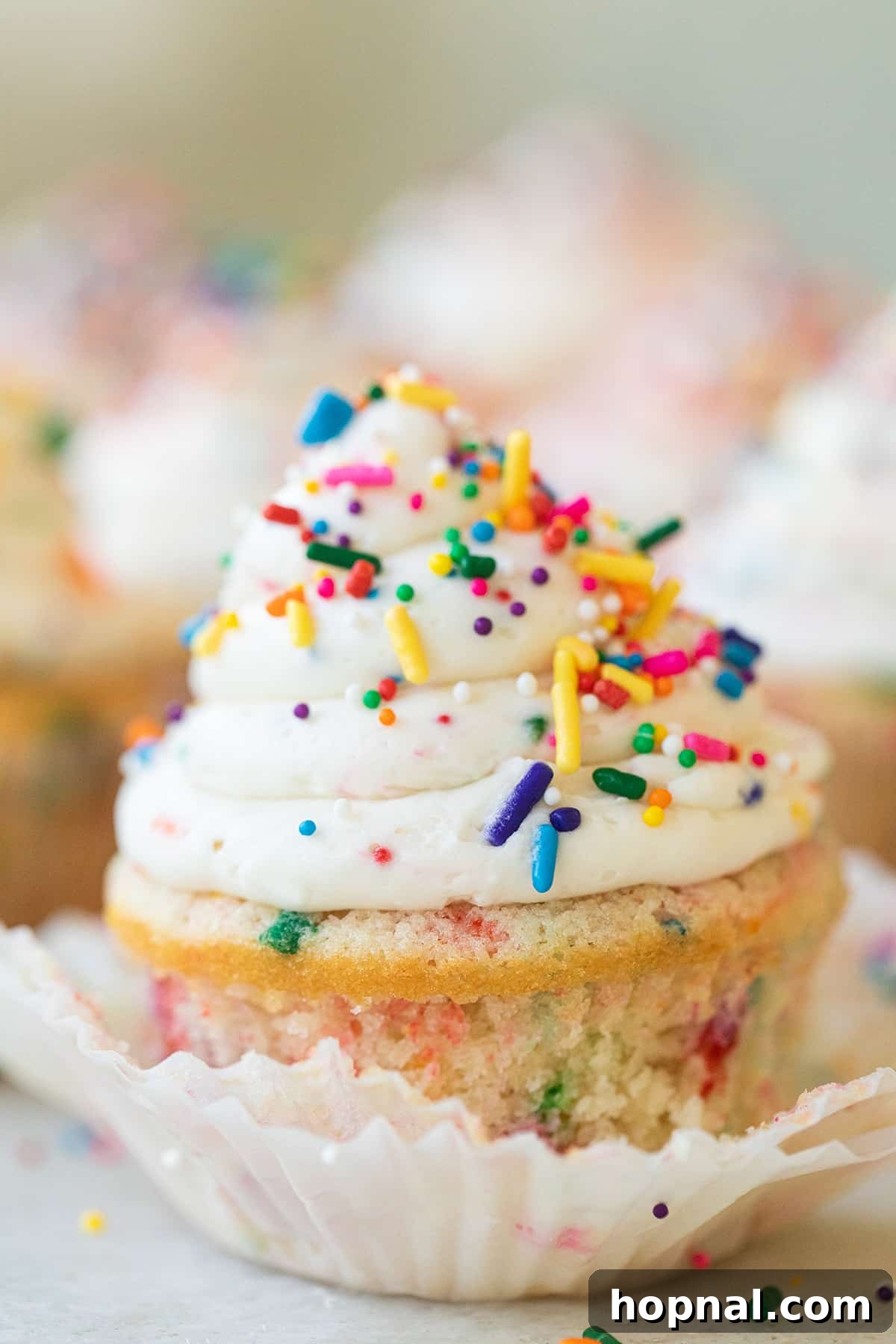 A homemade confetti cupcake with sprinkles.