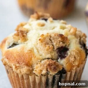 Delicious bakery-style blueberry muffin with streusel topping