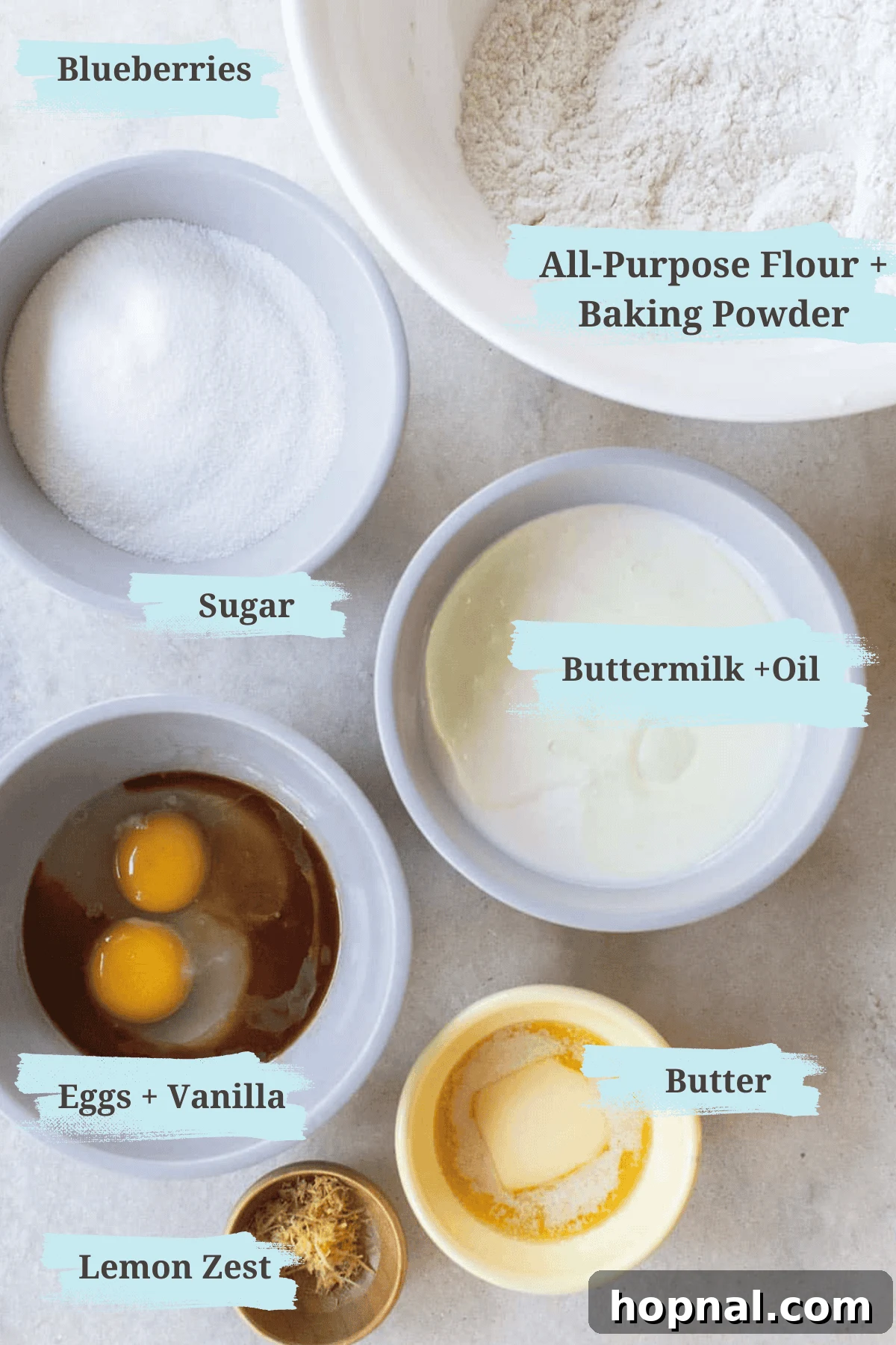 A vibrant flat lay of fresh blueberry muffin ingredients including all-purpose flour, granulated sugar, baking powder, salt, large eggs, creamy buttermilk, neutral canola oil, aromatic vanilla extract, bright lemon zest, and plump fresh blueberries.