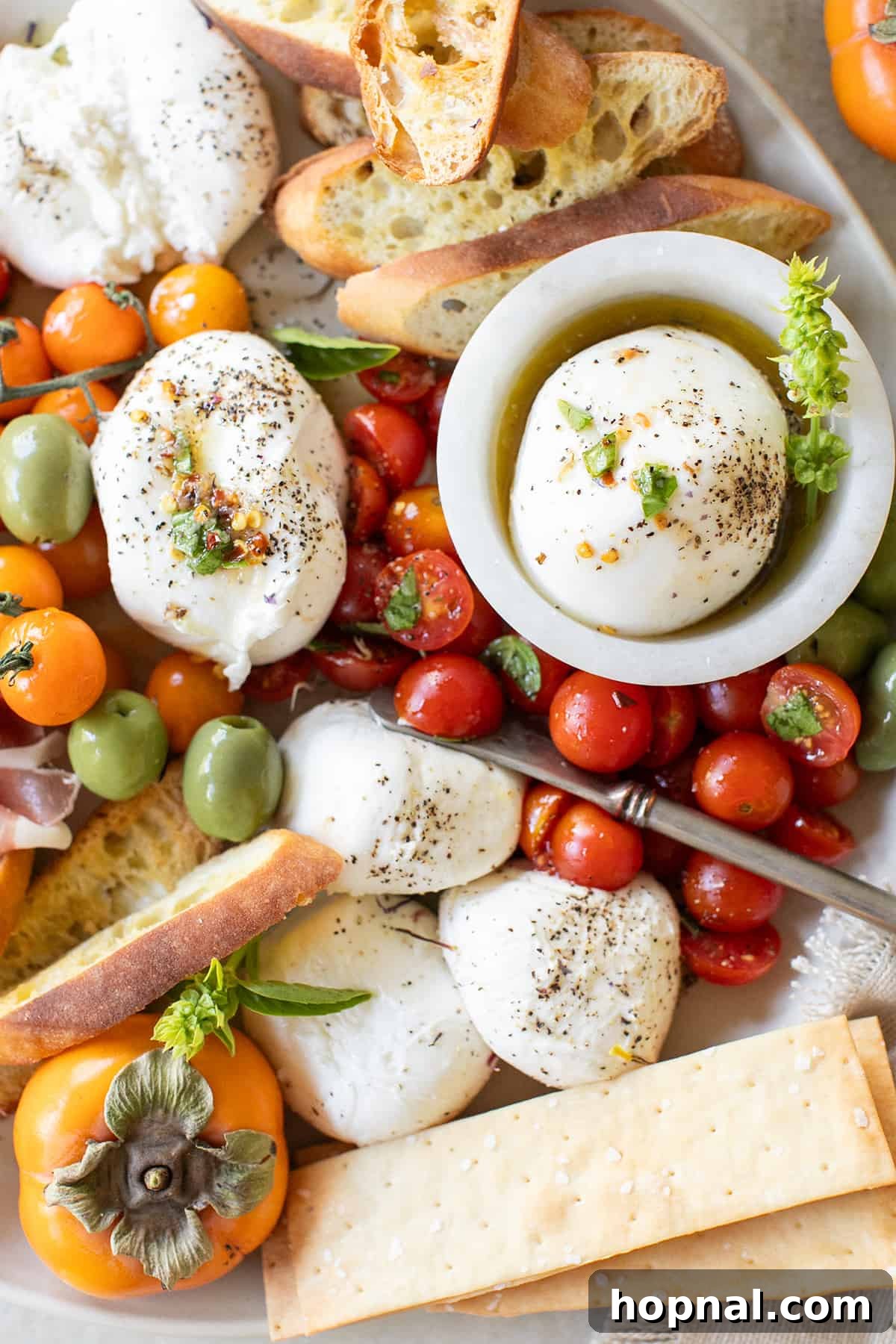 A vibrant burrata platter featuring fresh burrata, an assortment of crackers, perfectly marinated cherry tomatoes, and a handful of delicious olives.