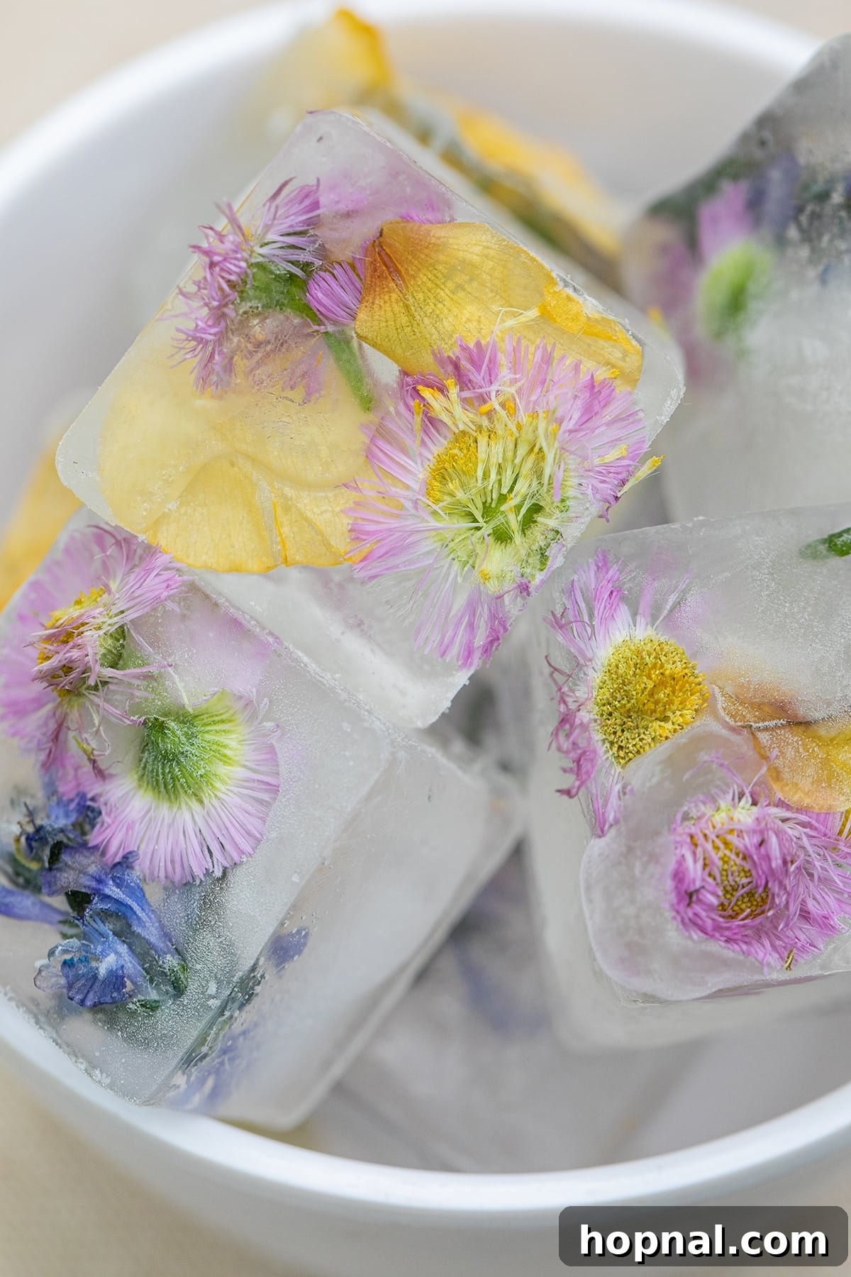 Frozen Botanicals 2 Floral ice cubes in square ice cubes with colorful edible flowers, adding charm to drinks.