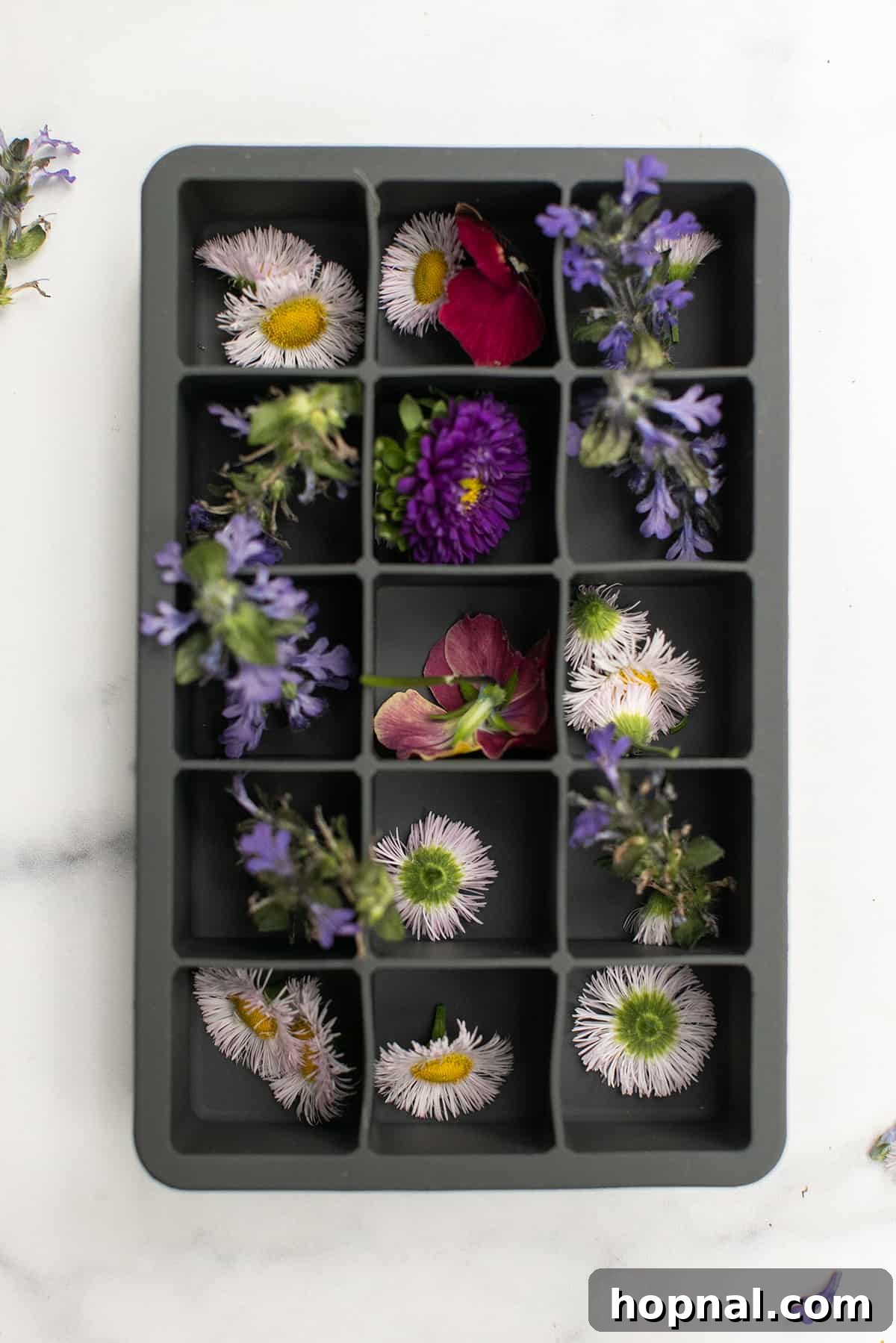 Frozen Botanicals 3 Silicone ice cube tray with small edible flowers, ready to be frozen.