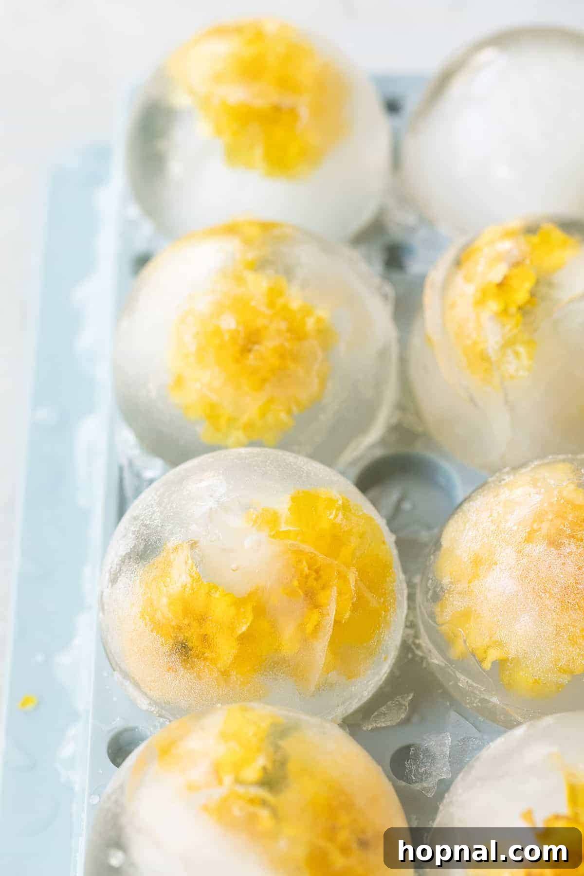 Frozen Botanicals 4 Floral ice spheres with edible flowers, perfect for elegant drinks.
