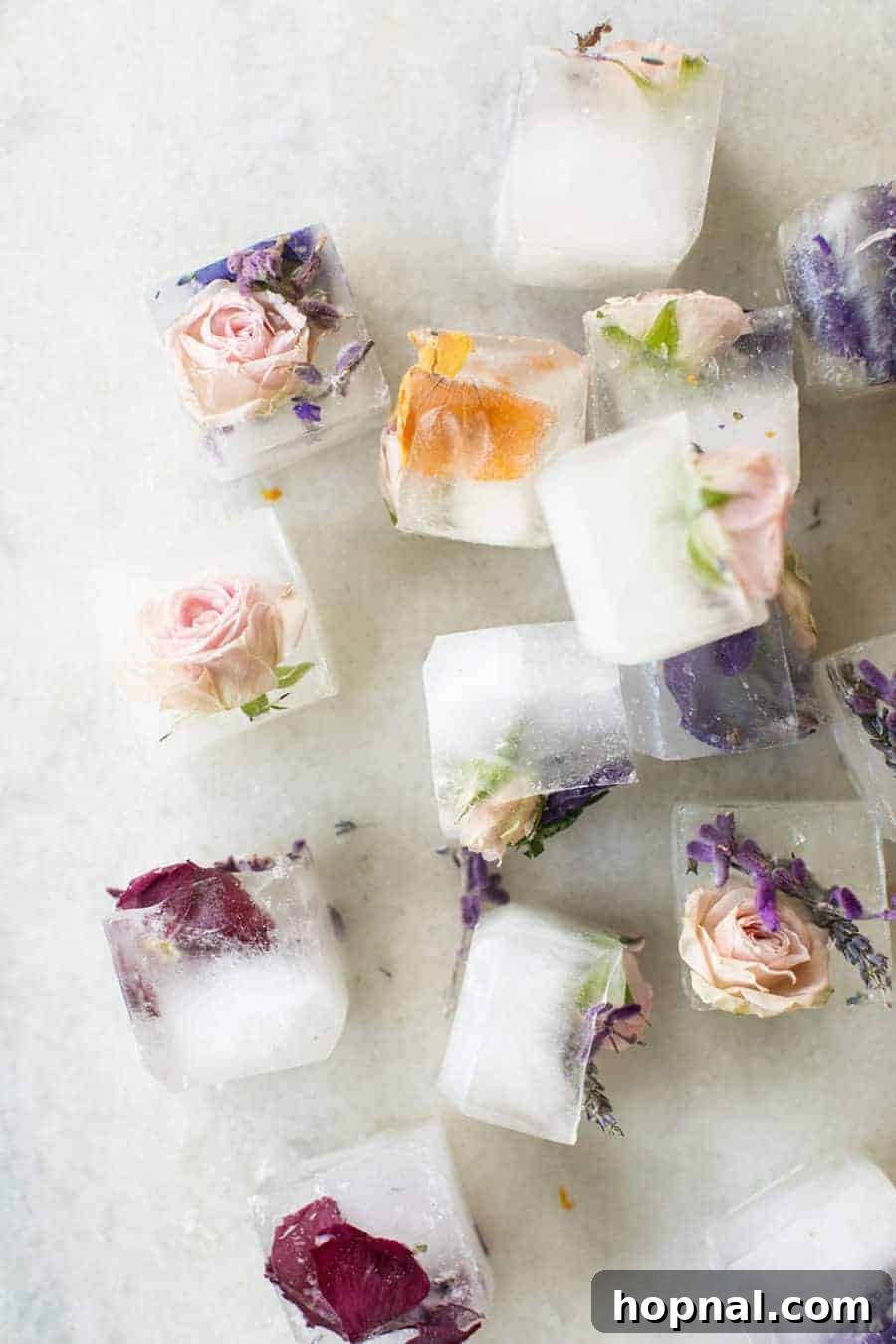 Frozen Botanicals 5 Ice cubes with colorful flowers, ready to enhance any drink.