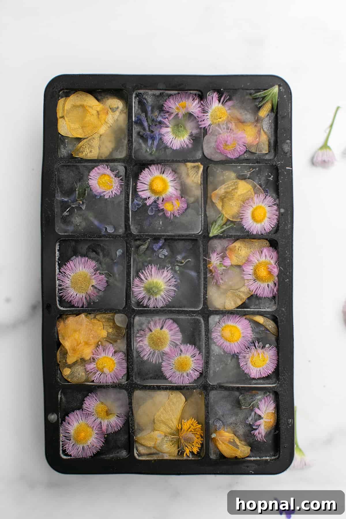 Frozen Botanicals 6 Frozen floral ice cubes in a silicone tray, ready for use.