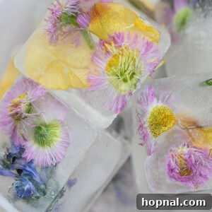 Floral ice cubes in square ice cubes with colorful edible flowers.